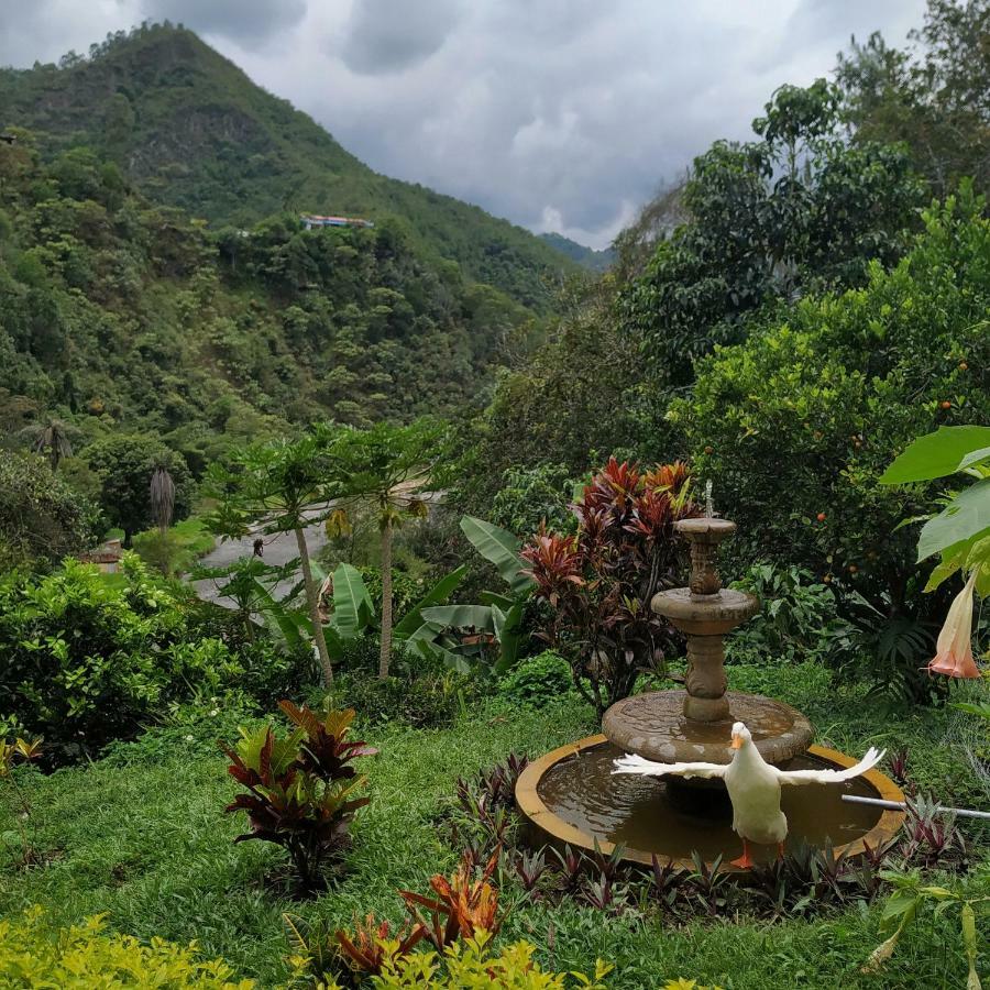 Duck House Hotel La Vega  Ngoại thất bức ảnh